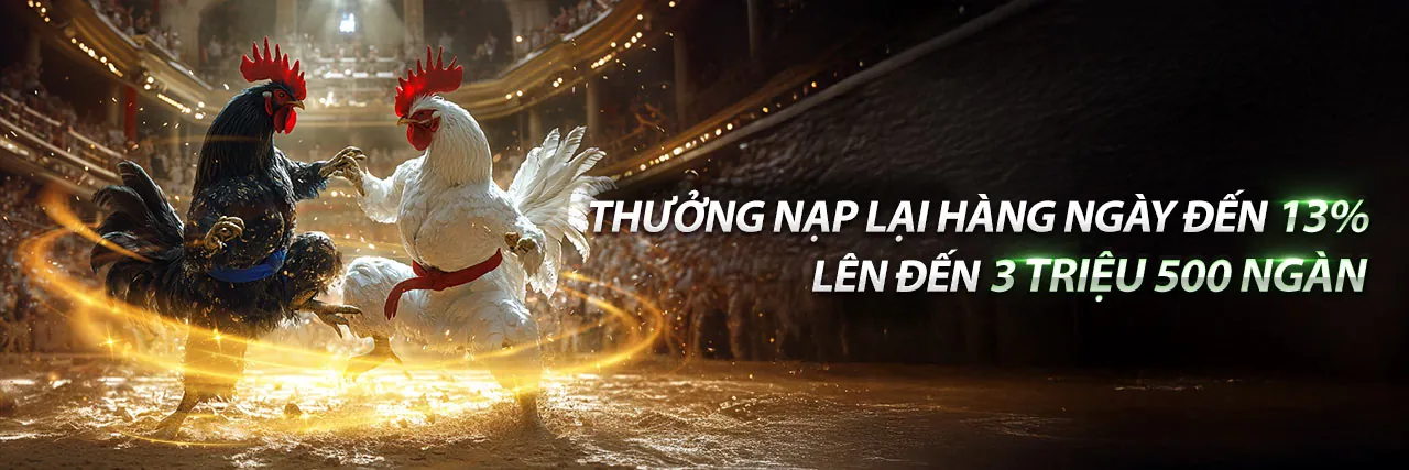 Đá Gà Trực Tuyến luck8333 chính thức